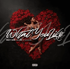 What You Like ft. AK of Do Or Die cover art