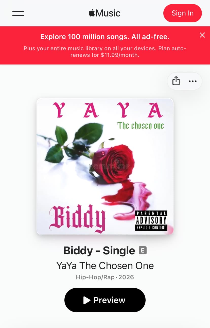 Biddy cover art